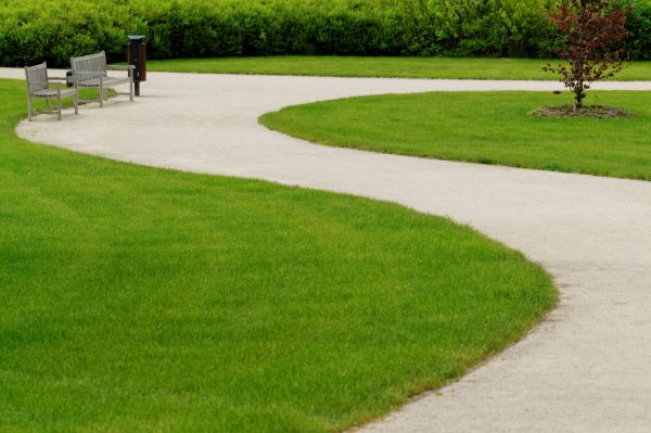 Sidewalk Concrete Service in San Ramon